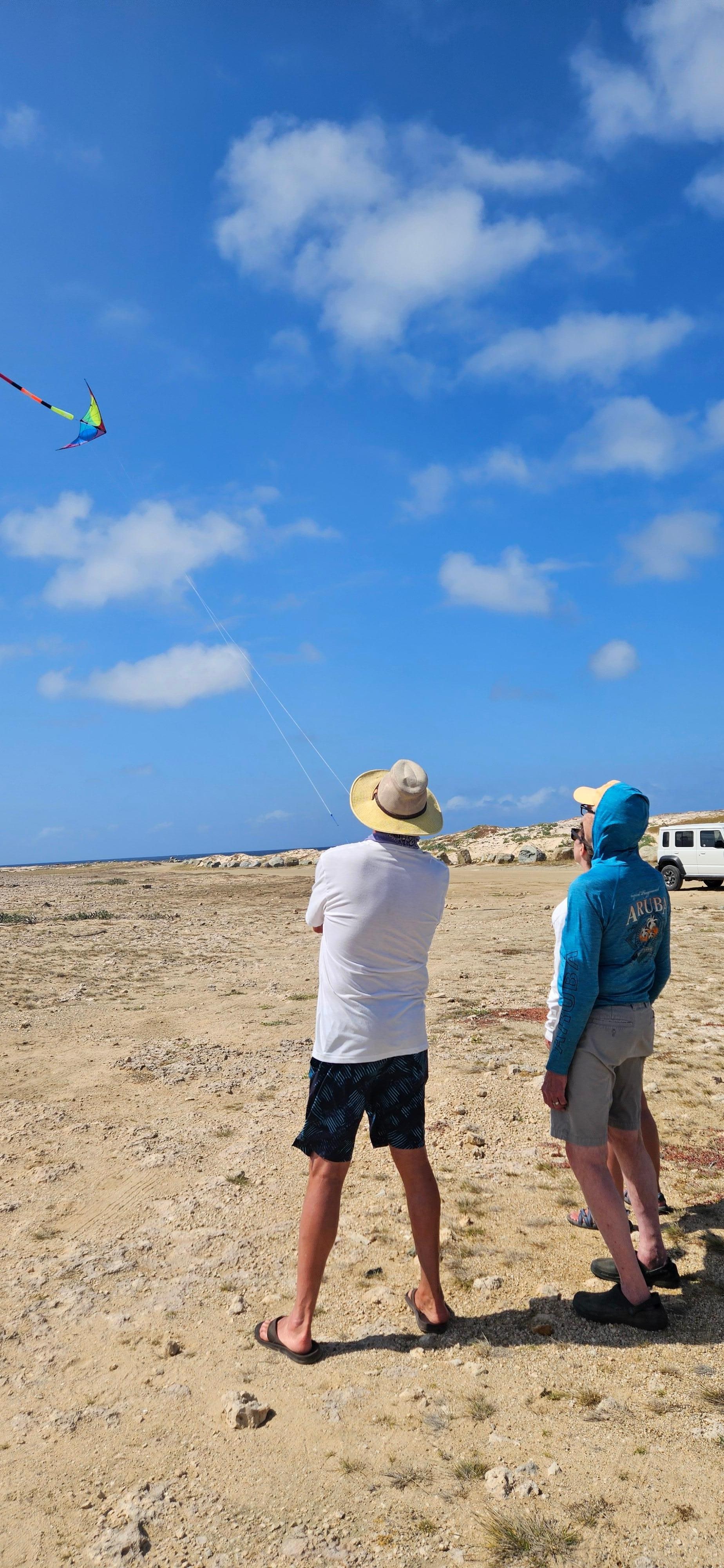 Kite flying lessons