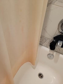 Serratia marcescens bacteria