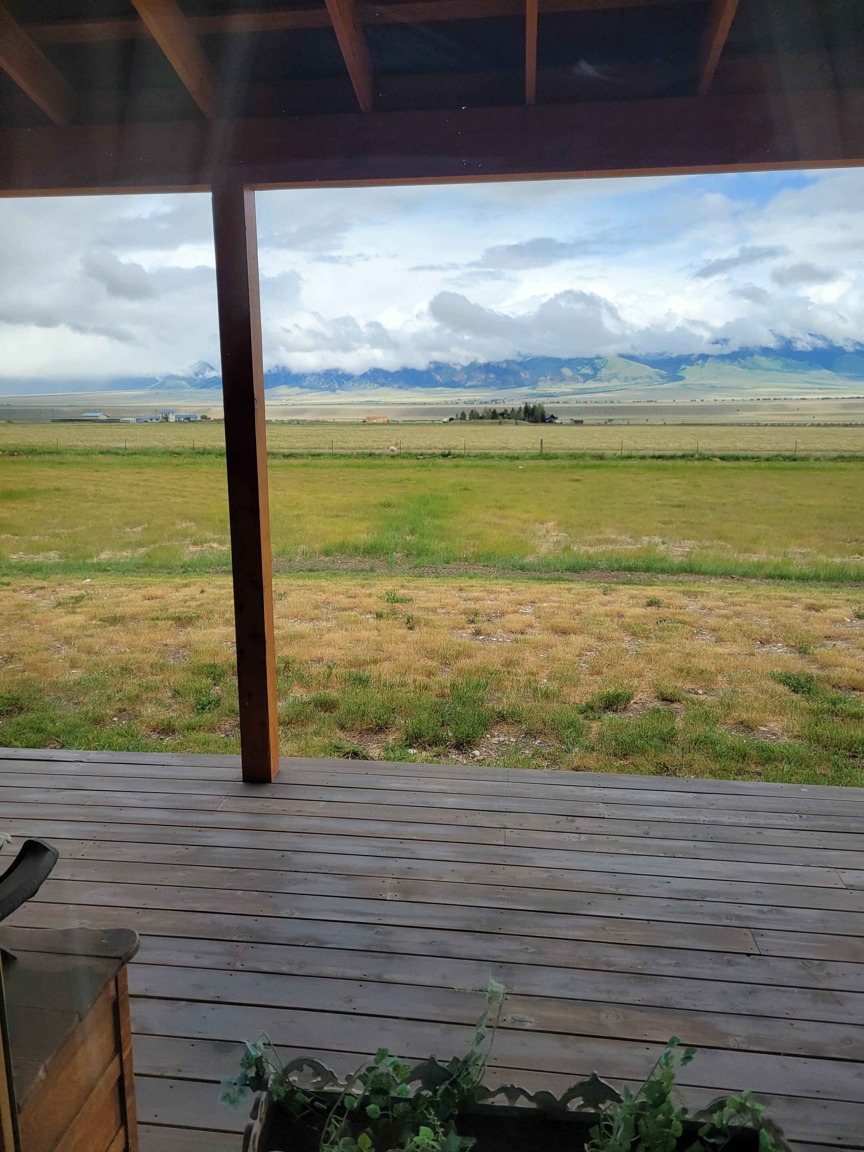 View from back porch (left side).