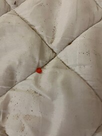 Dirt / Debris on pullout bed