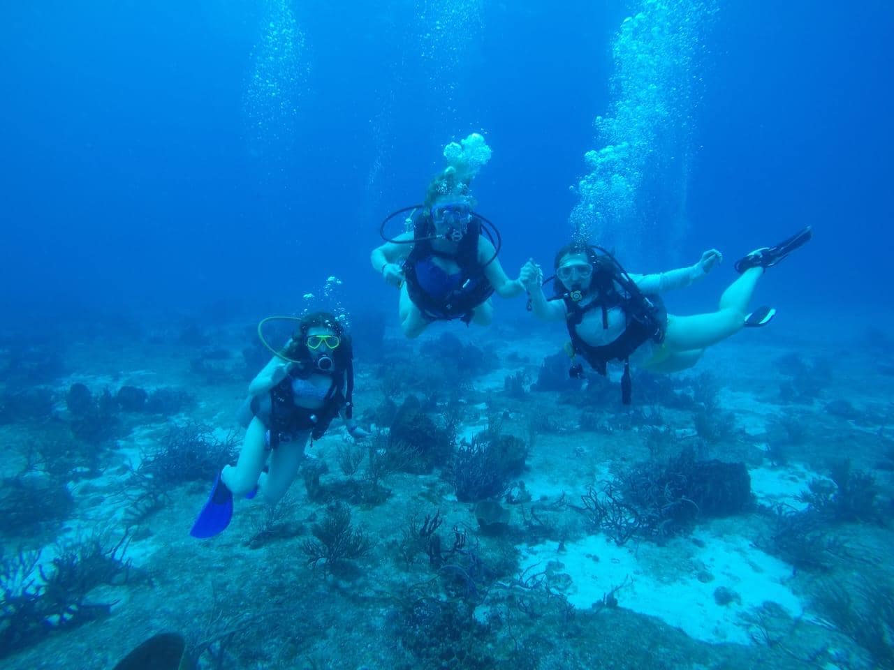 I highly encourage you to book a scuba diving trip! You don’t have to be certified, they will give you a little lesson and take it easy with you and it is beautiful.