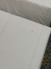 Bug crawling all over