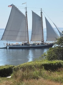 One of many tall ships