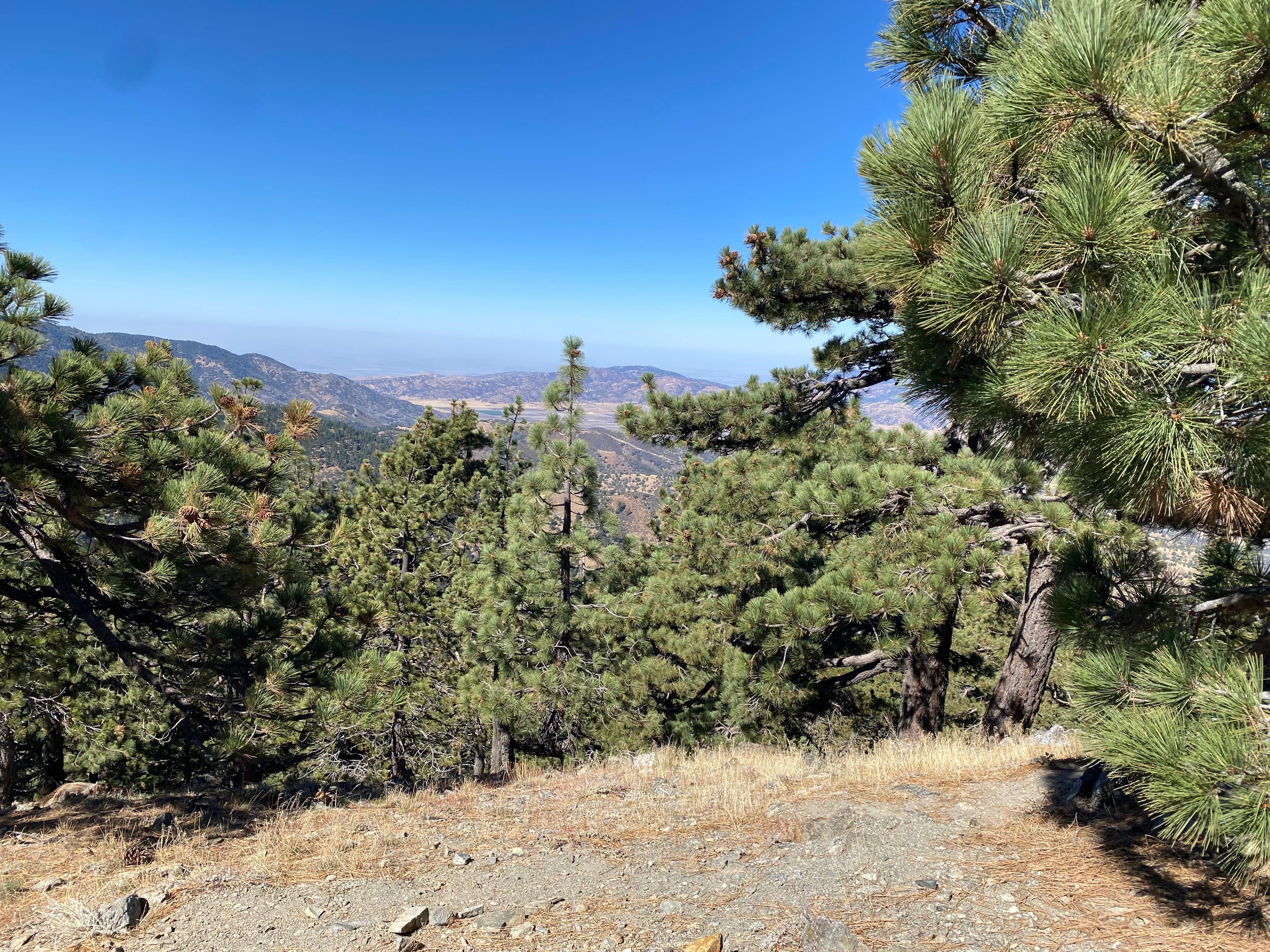 Day trip to Tehachapi and a hike up Tehachapi Mountain trail. Afterward we had an awesome lunch at Petra’s Mediteranean restaurant in downtown Tehachapi