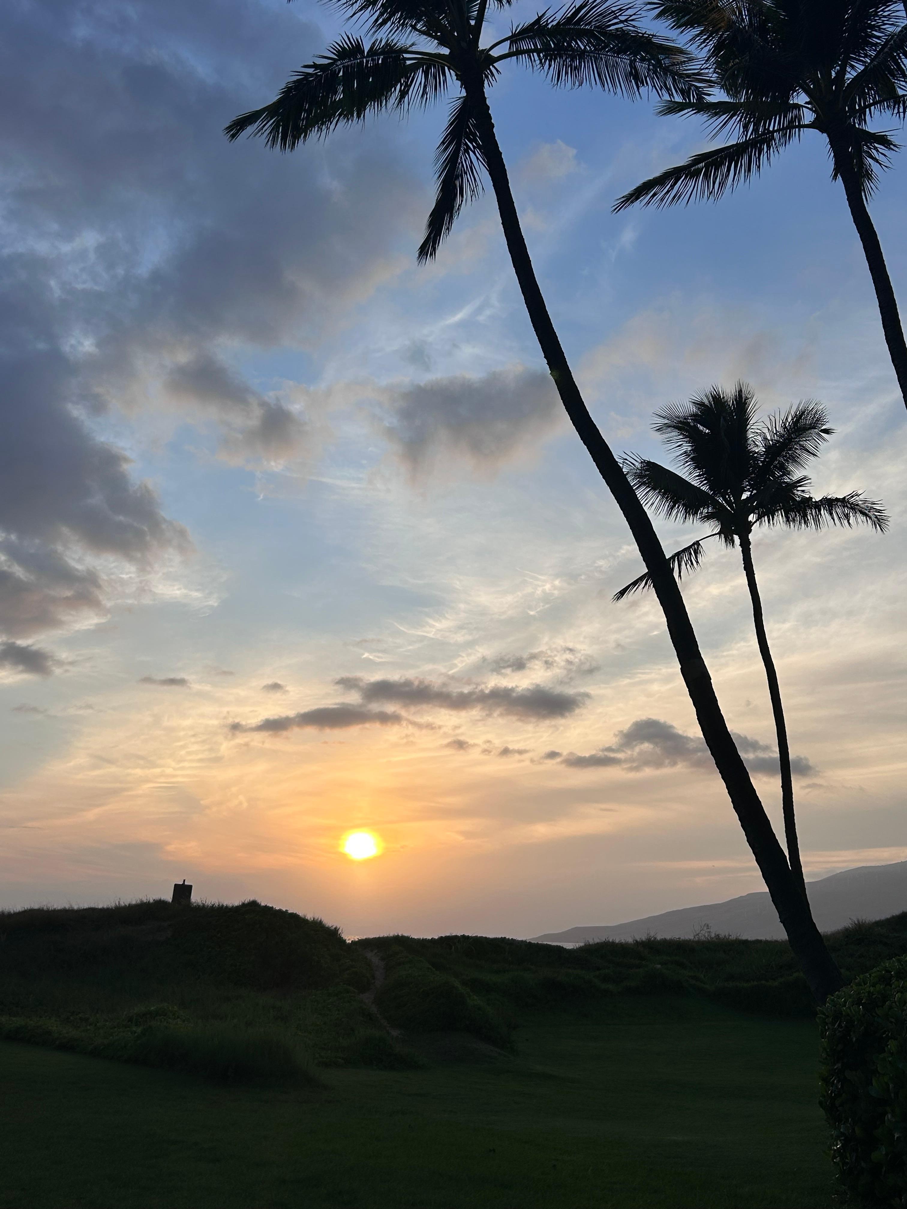 Beautiful view.