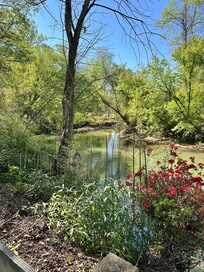 The green river