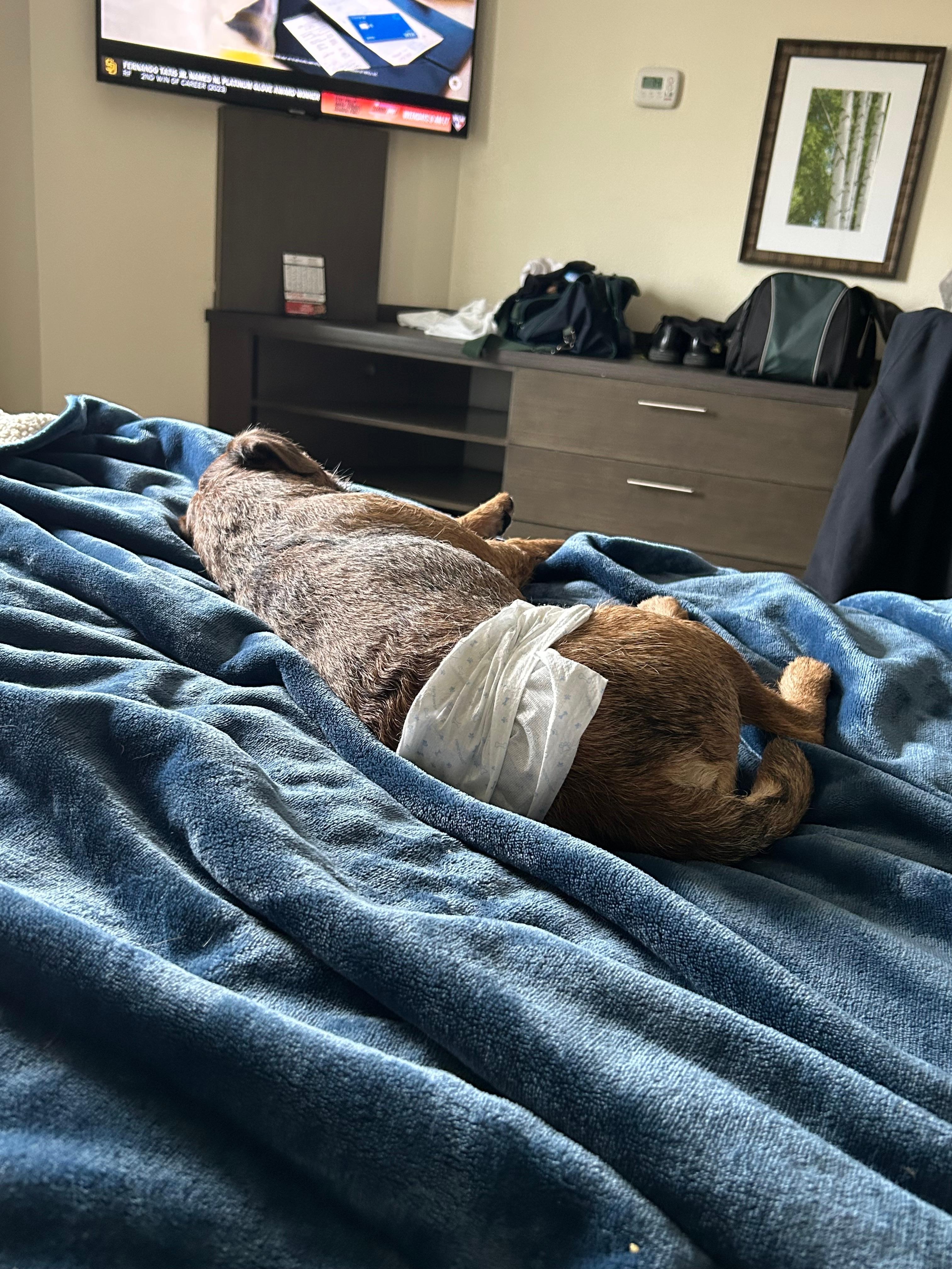 Eddie loved the room also. 