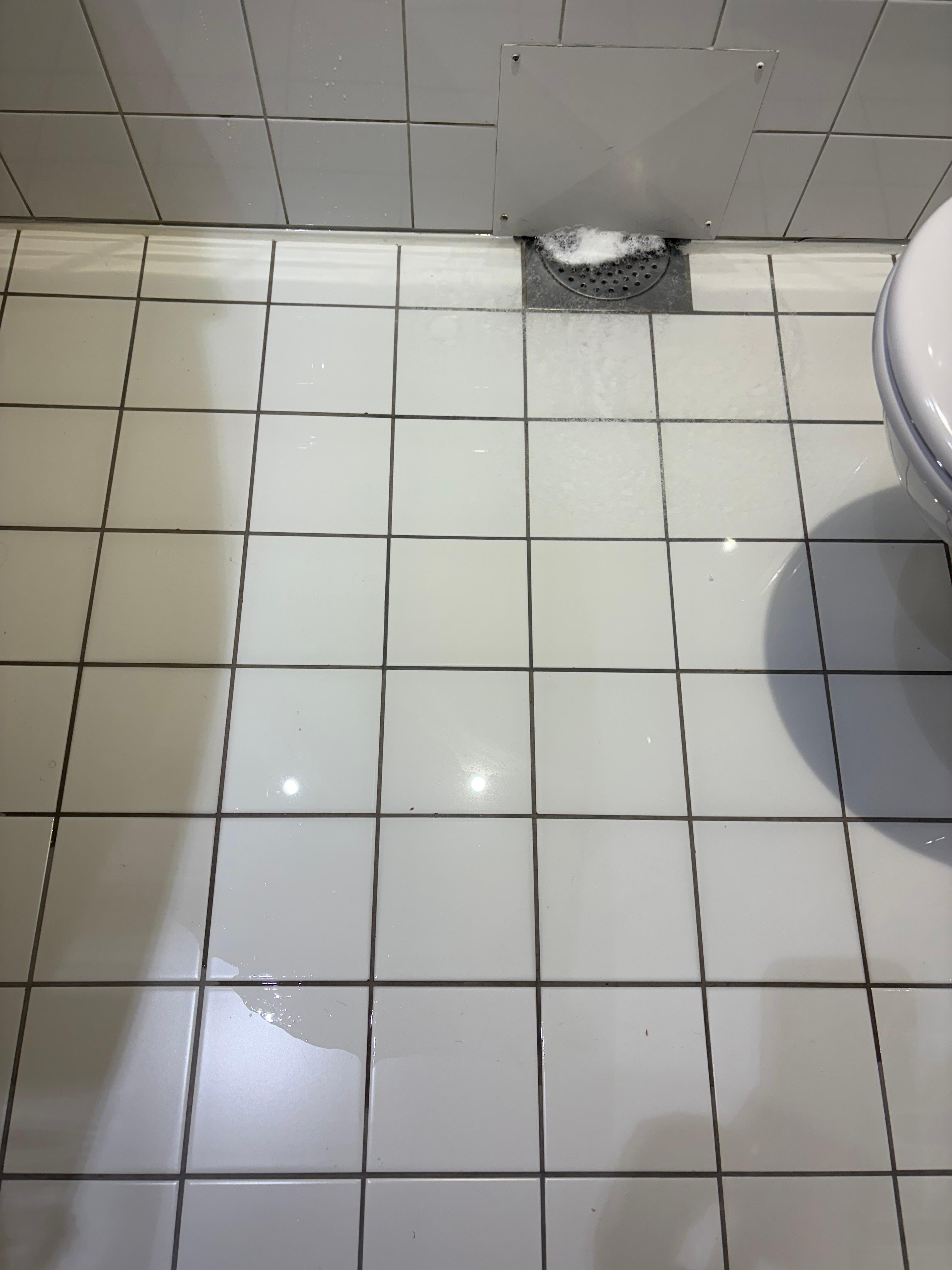 Floor Drain/ Flood
