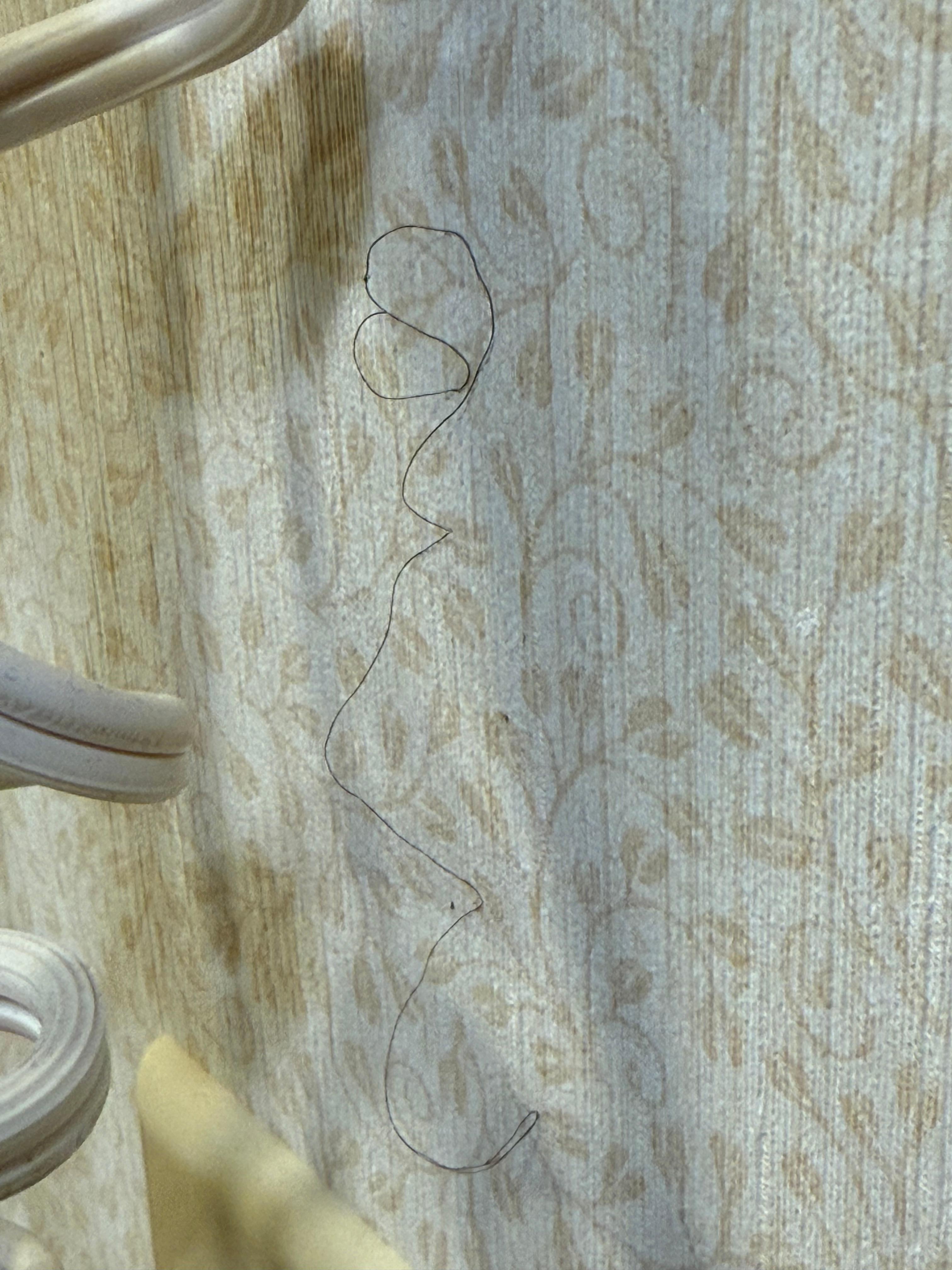 Hair on wall 