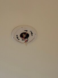 Missing smoke detector 1 of 2!