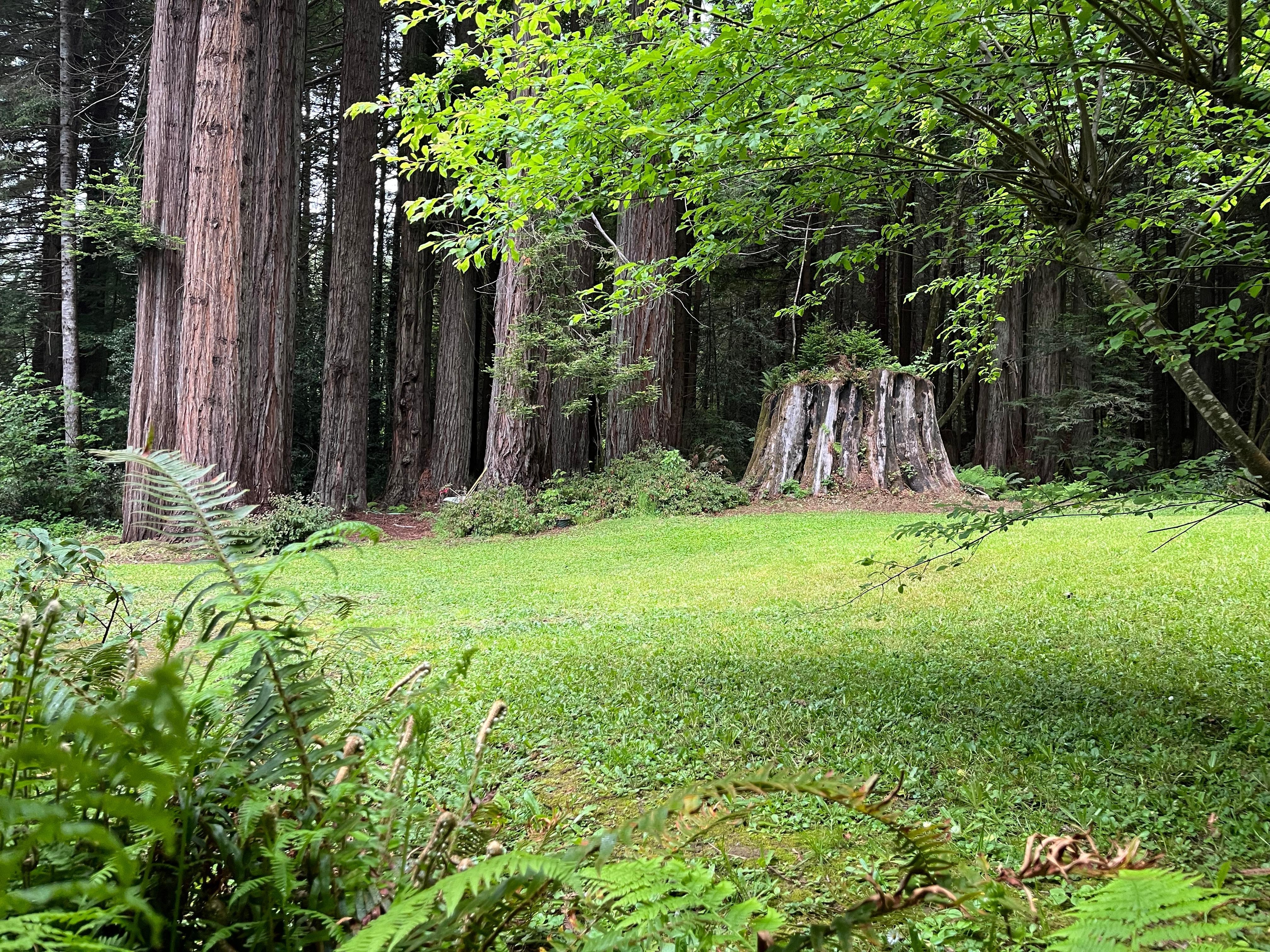 View from private porch