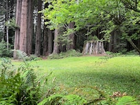 View from private porch