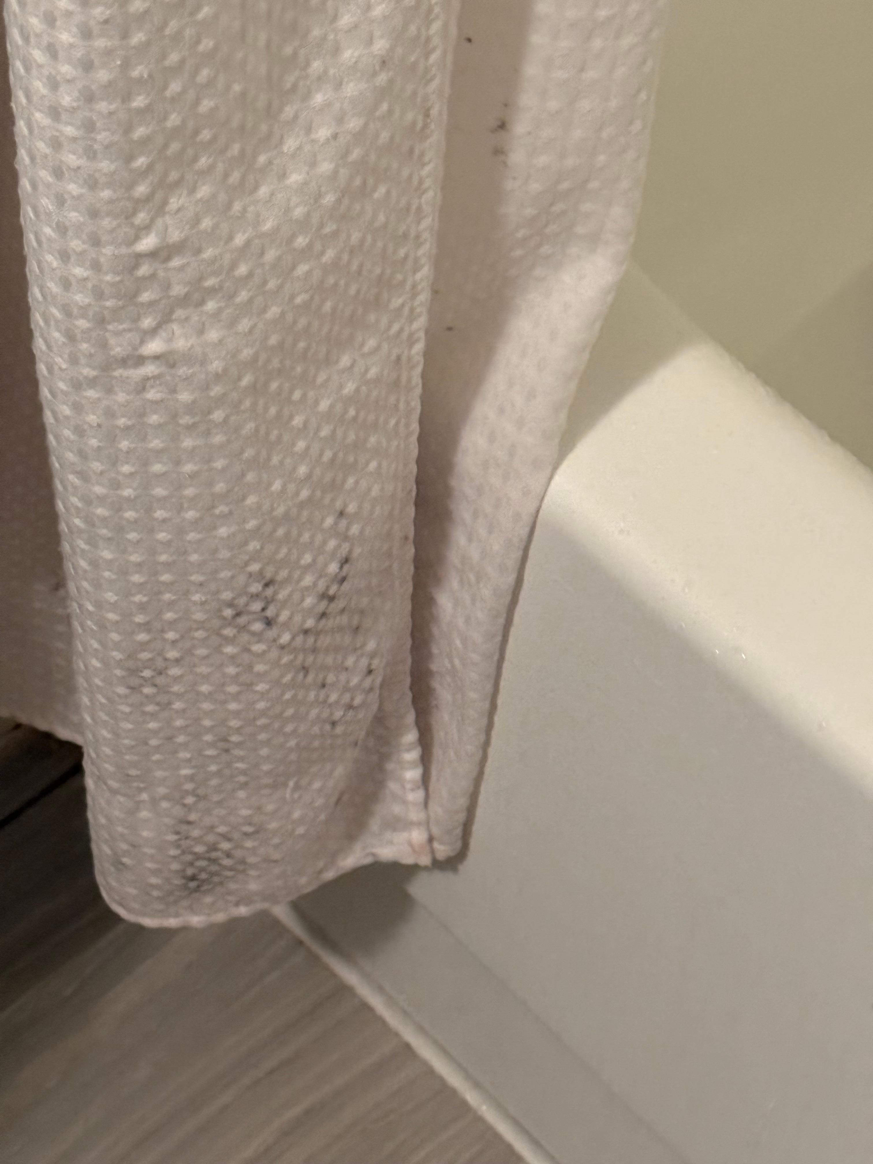 Mold on curtain shower