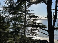 Day view