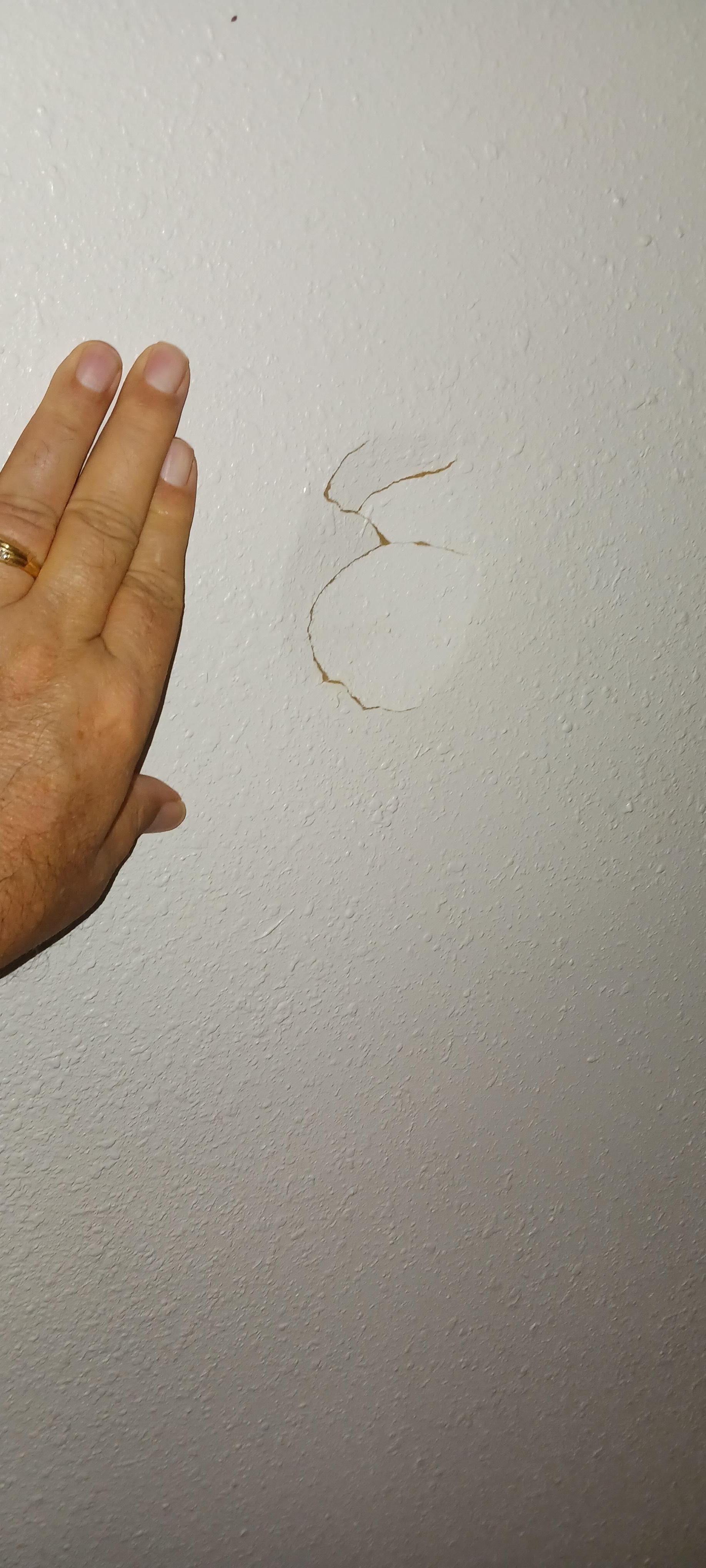 Damage to sheet wall by bathroom 