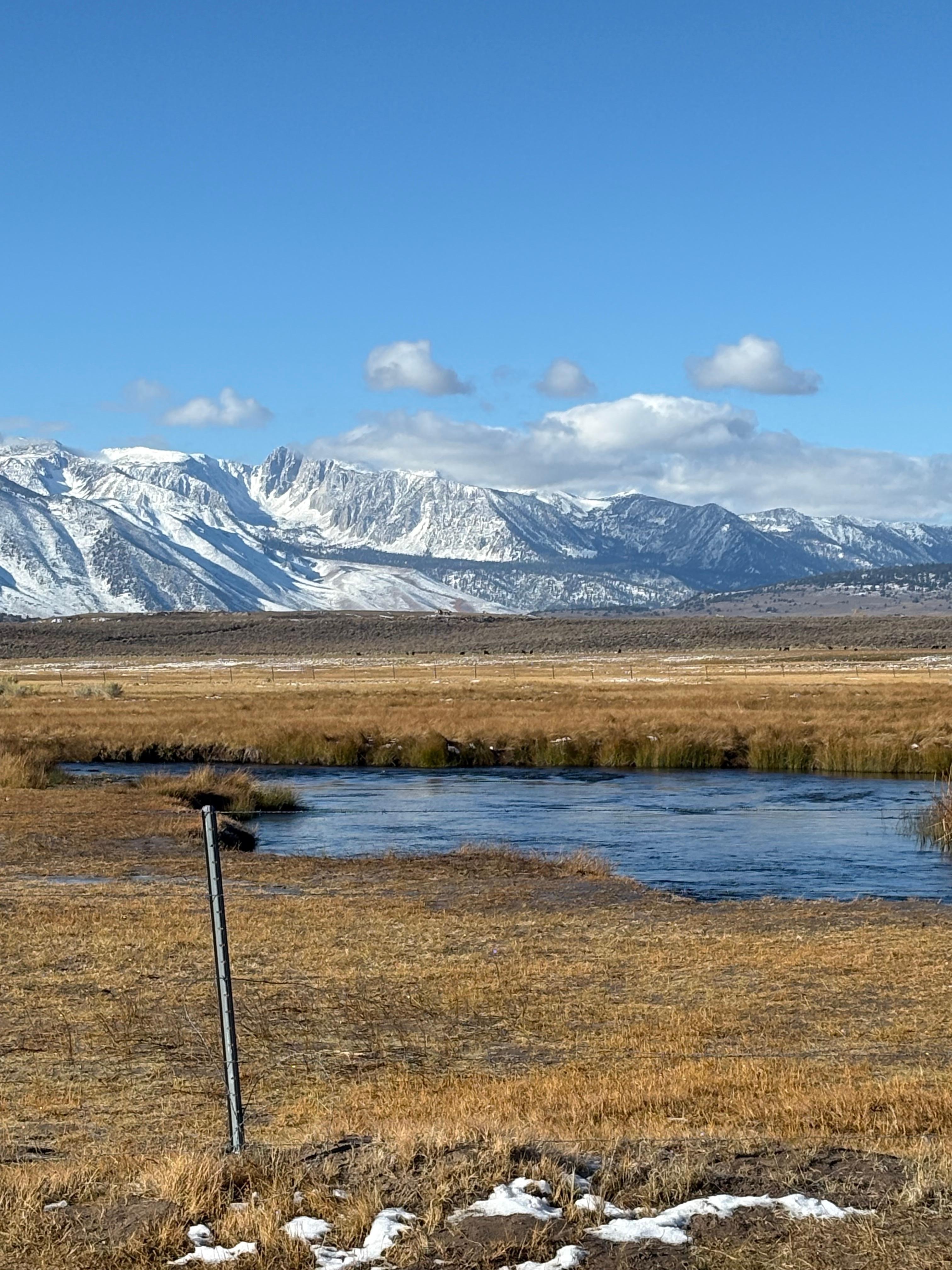 Owens River 👍🏻