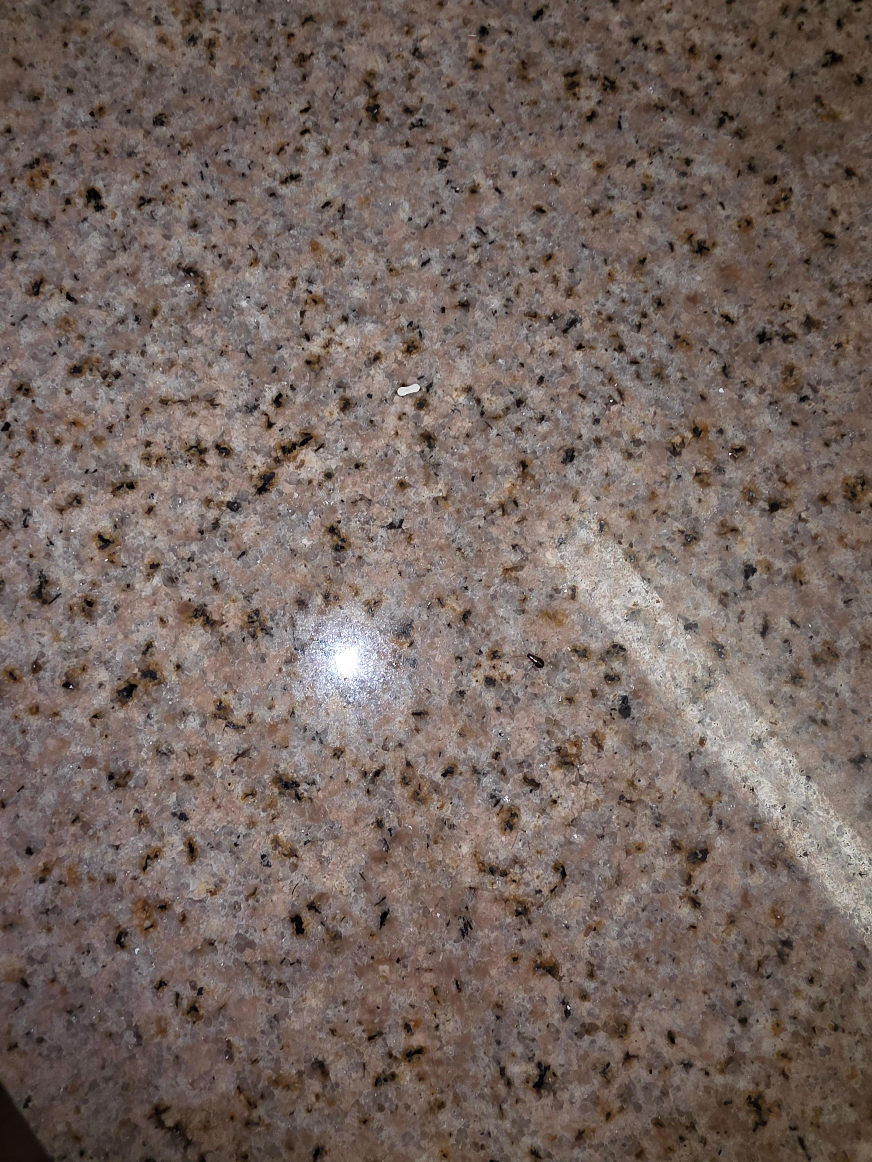 On the sink counter