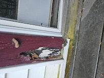 Rotted wooden