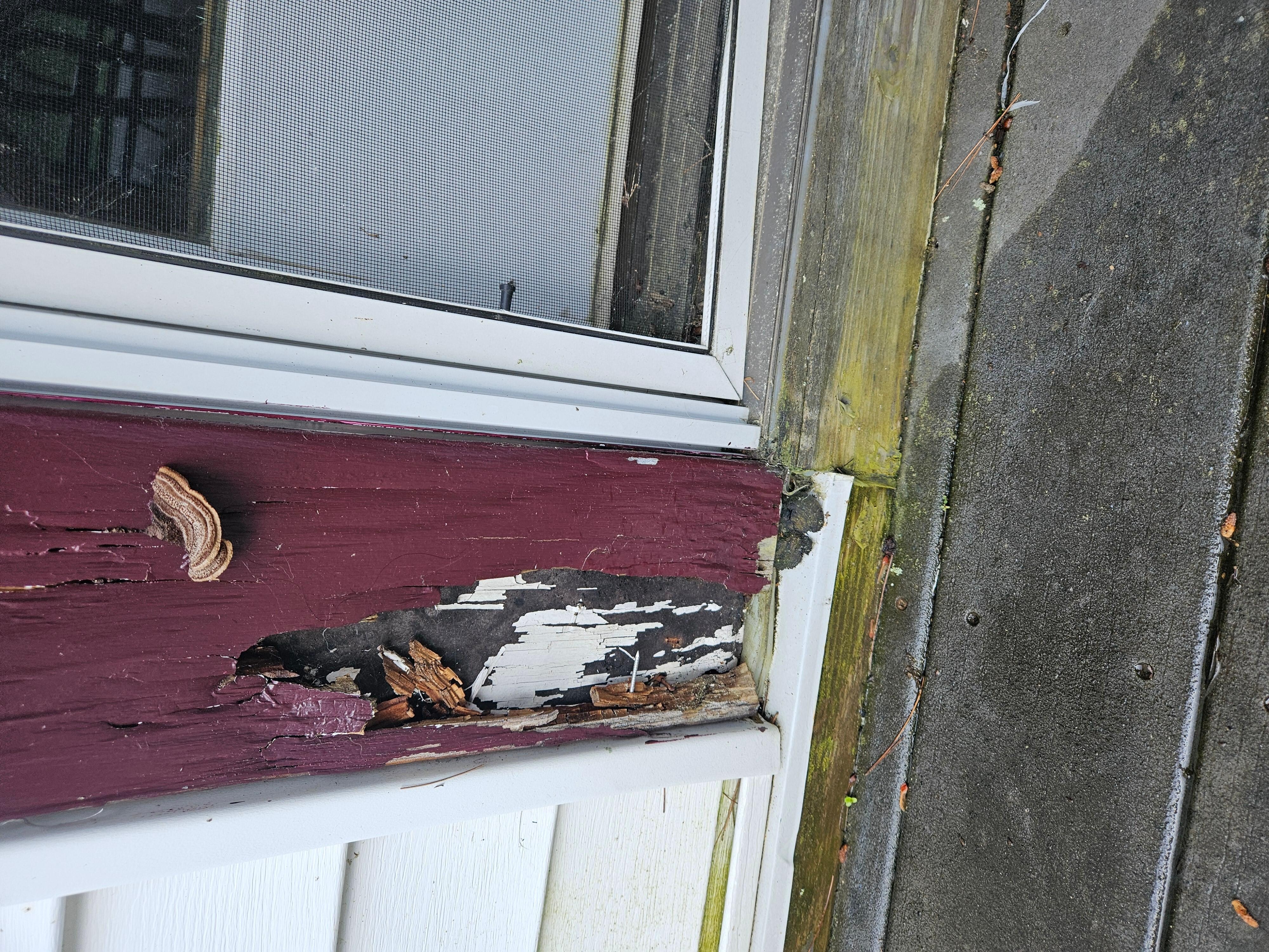 Rotted wooden
