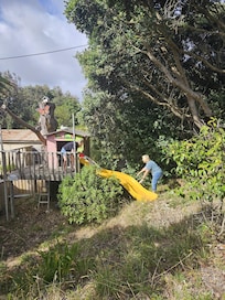 Grandkids playing in the treehouse and slide
