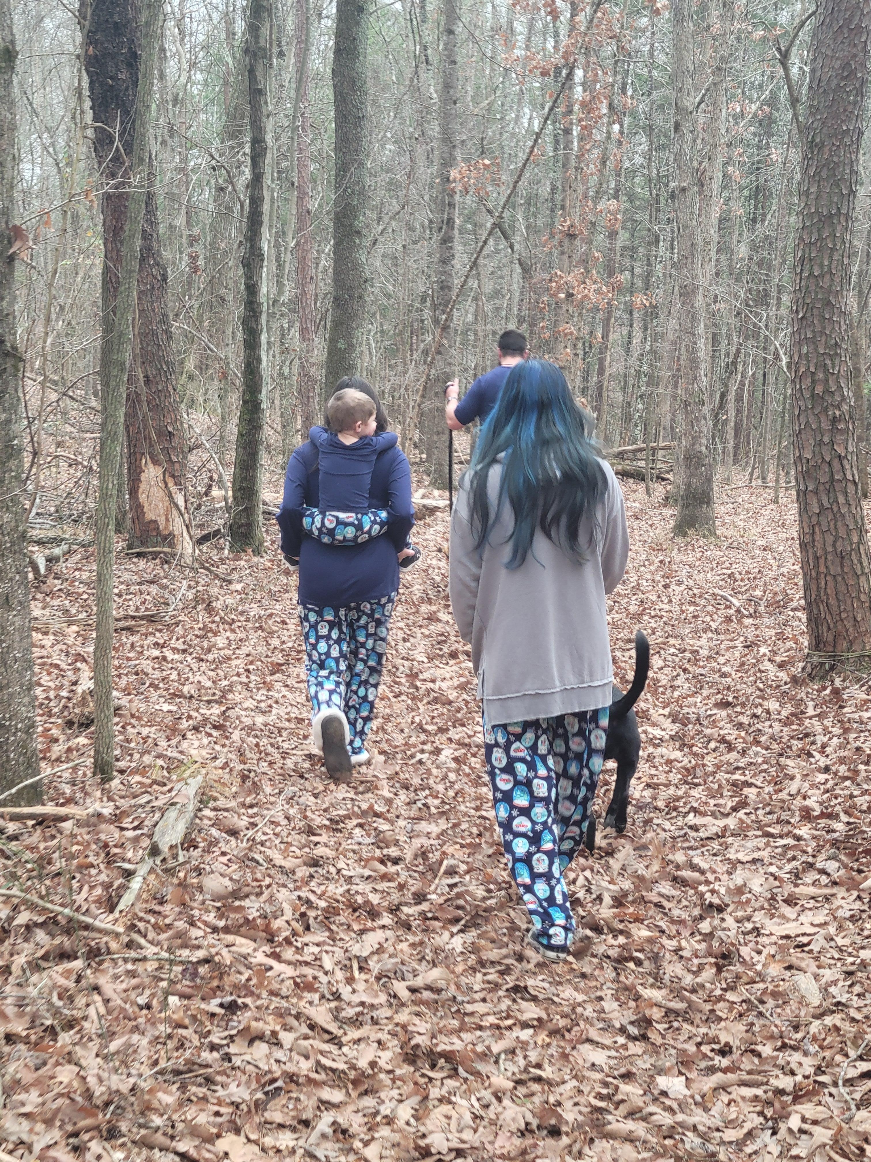 Trail right by the cabin