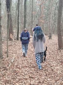 Trail right by the cabin