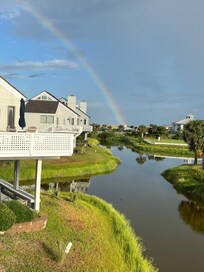 A morning rainbow and alligator sighting.