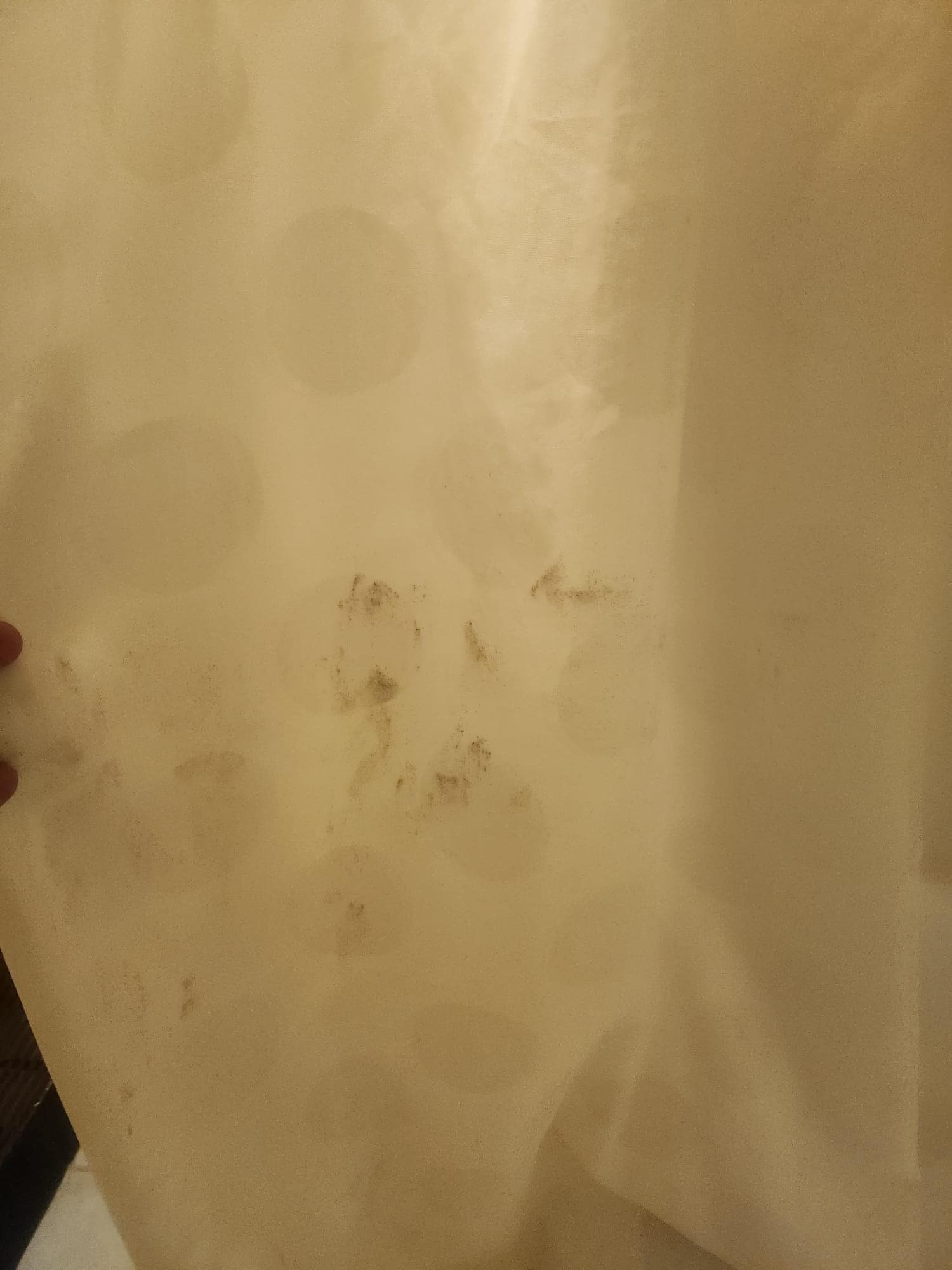 Cortinas de Baño