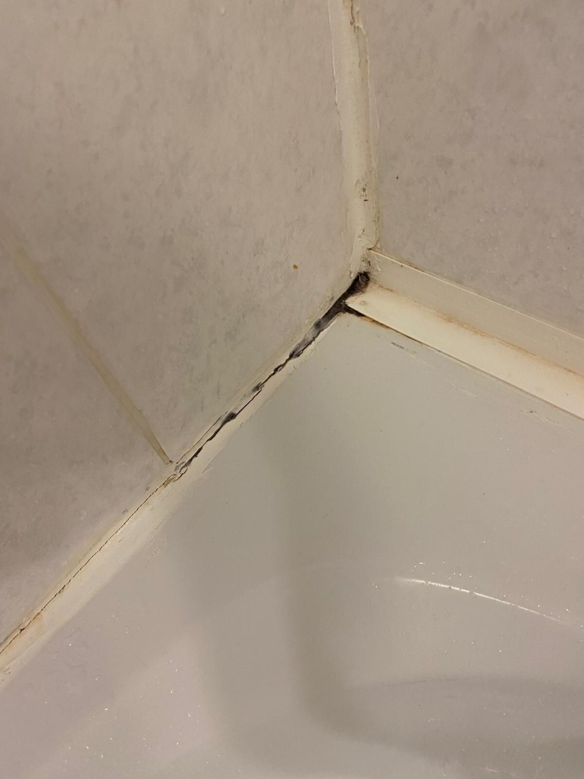 Mould in the bathroom