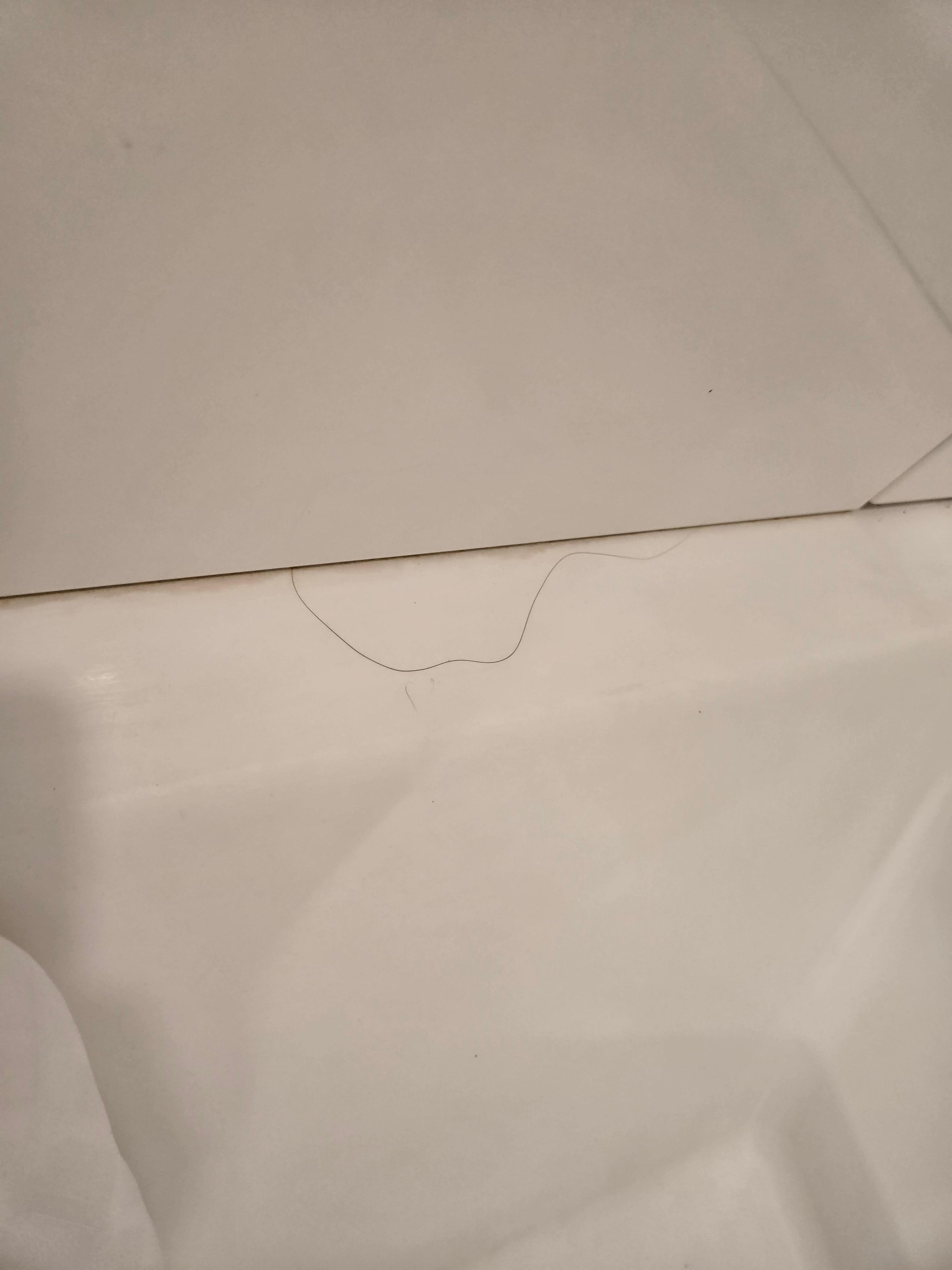 Hair in the shower