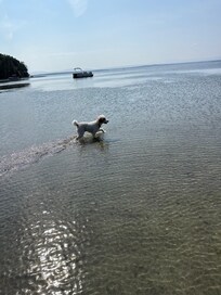 Dakota wading
