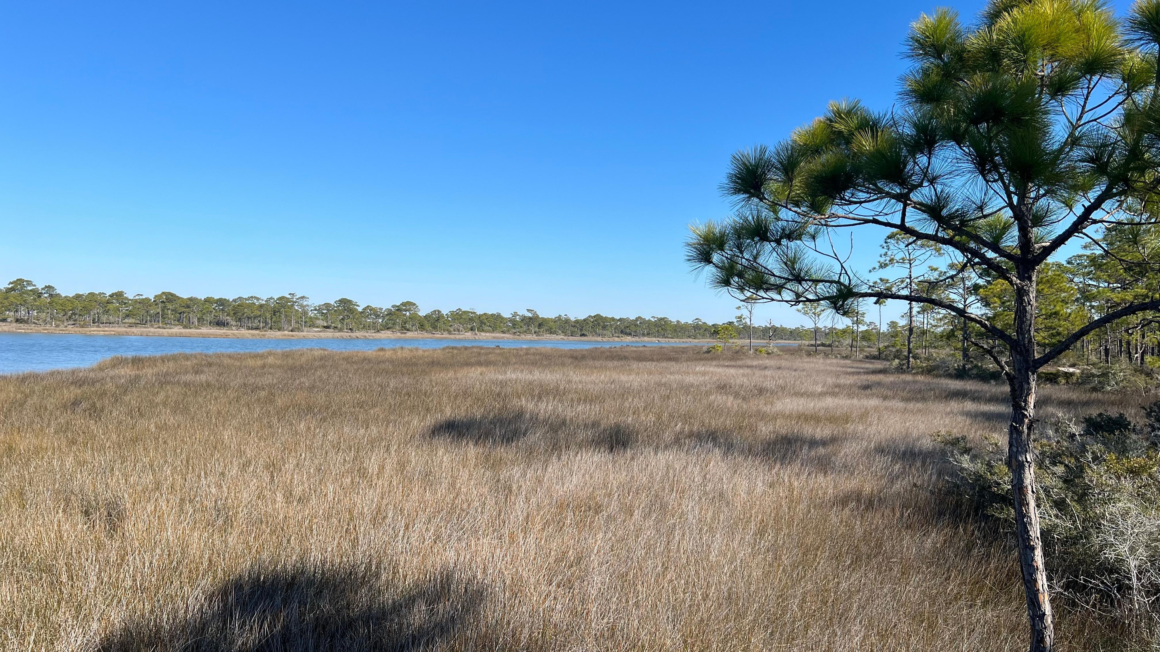 State park Gap Trail 