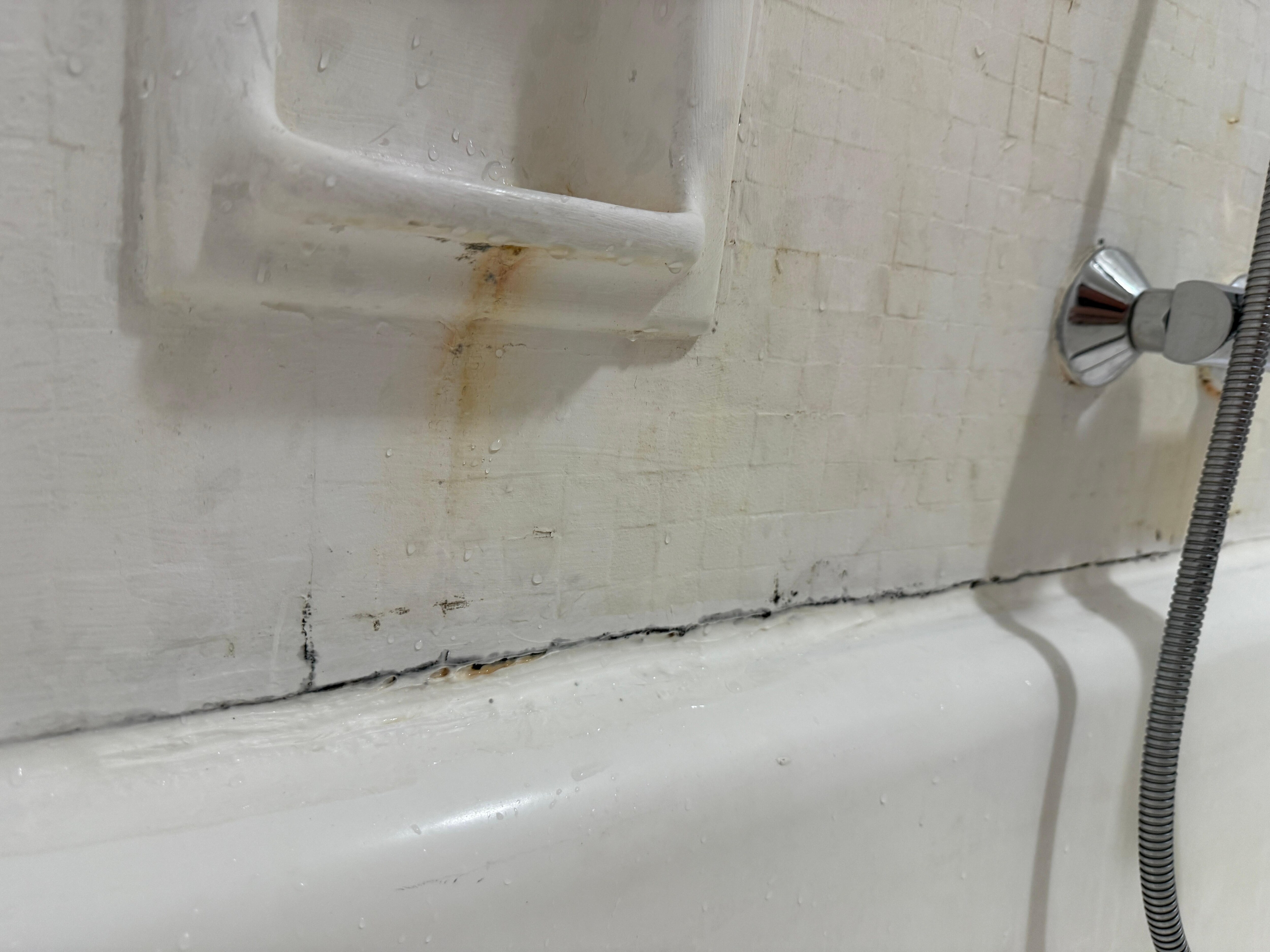 Mold around the bathtub
