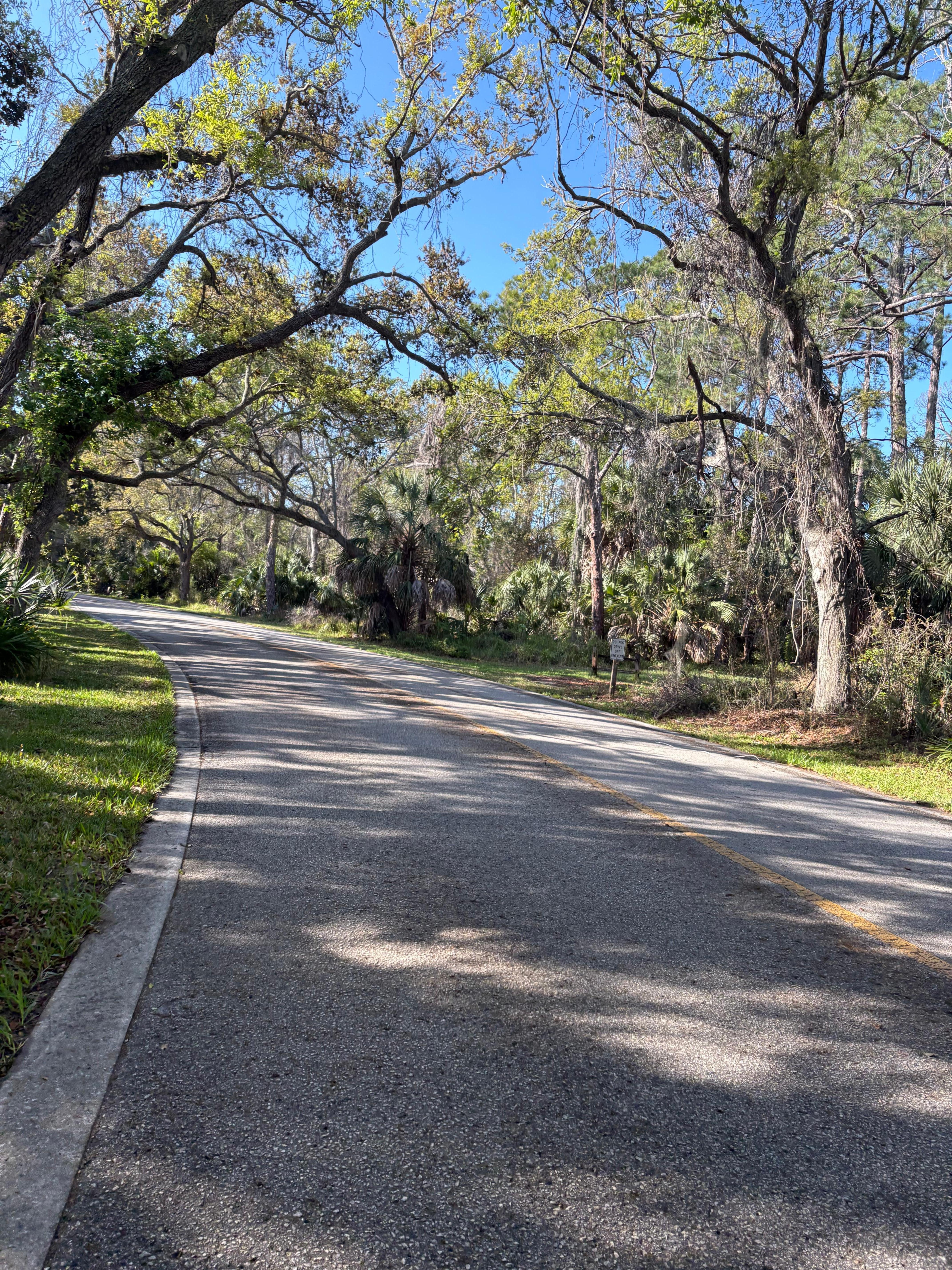 Park run around the corner 
