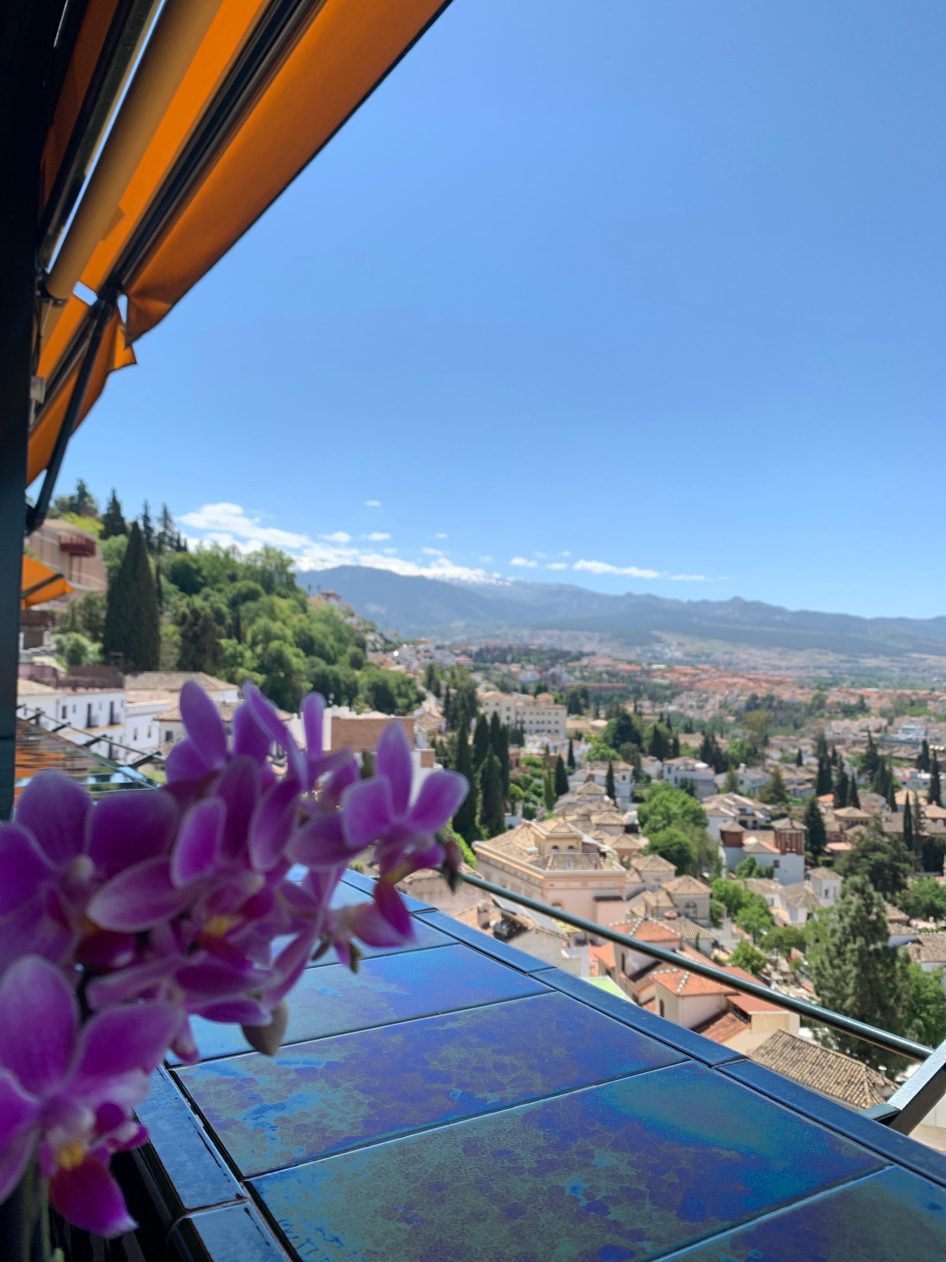 View from terrace