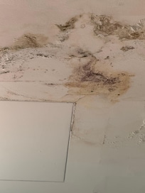 Toilet ceiling