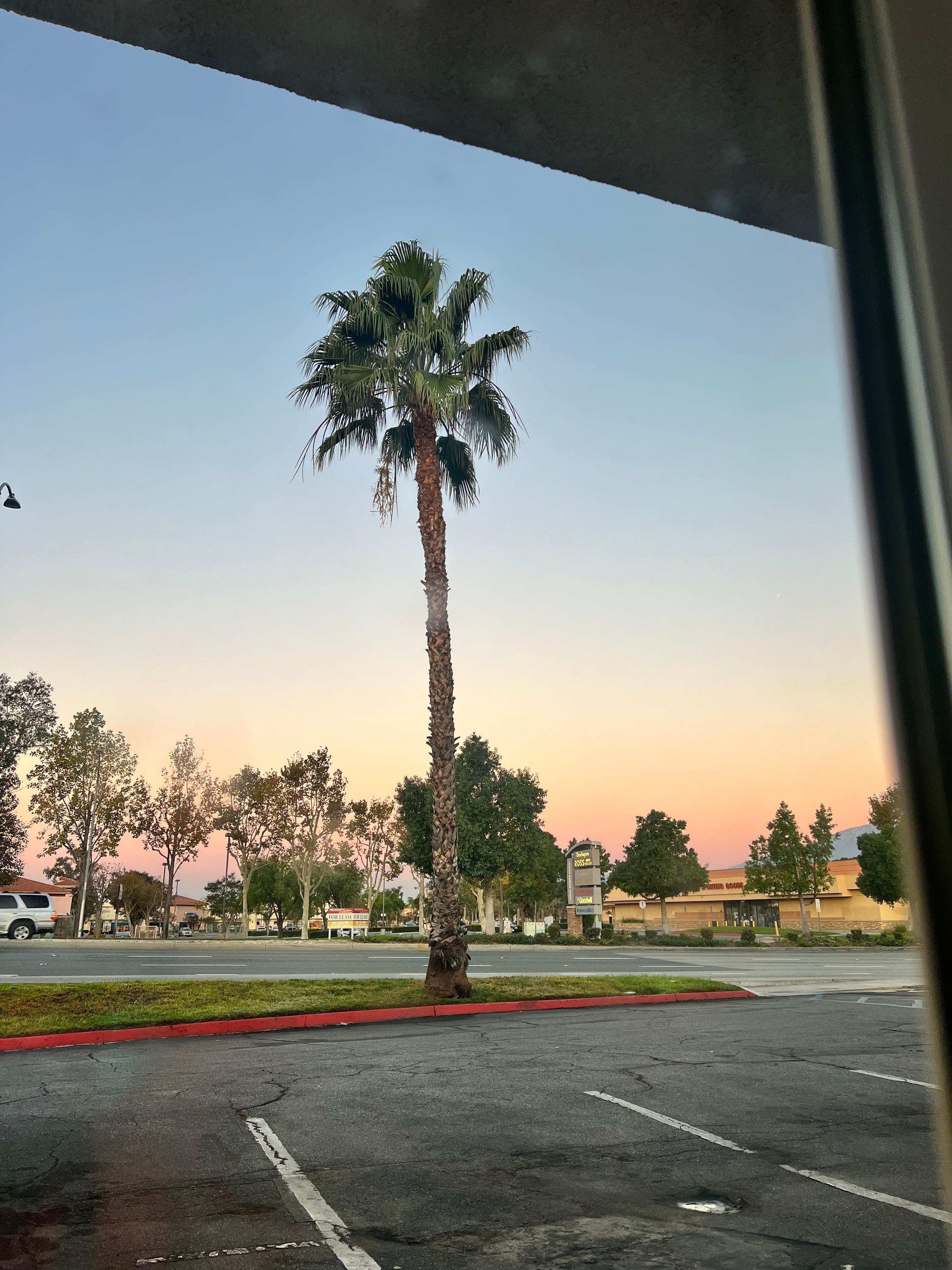 That’s beautiful sunrise 