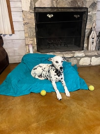 Piper is not a fan of the fireworks or the rain. She stayed comfy by the fireplace.