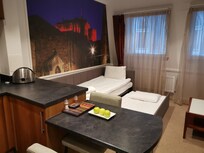 Family room 2 adults 2 kids nr 29