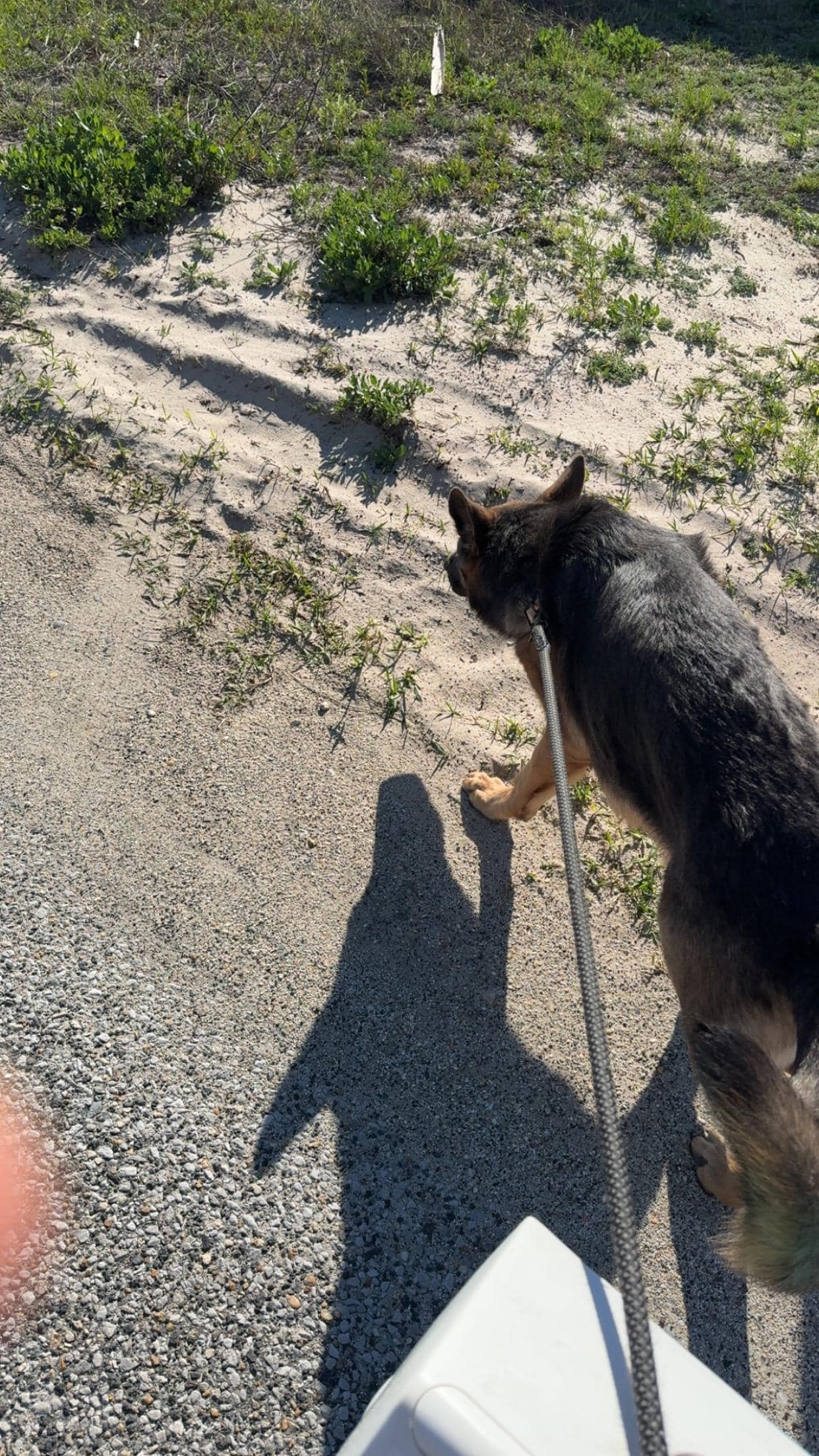 Heading to the water