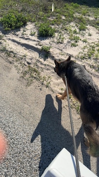 Heading to the water