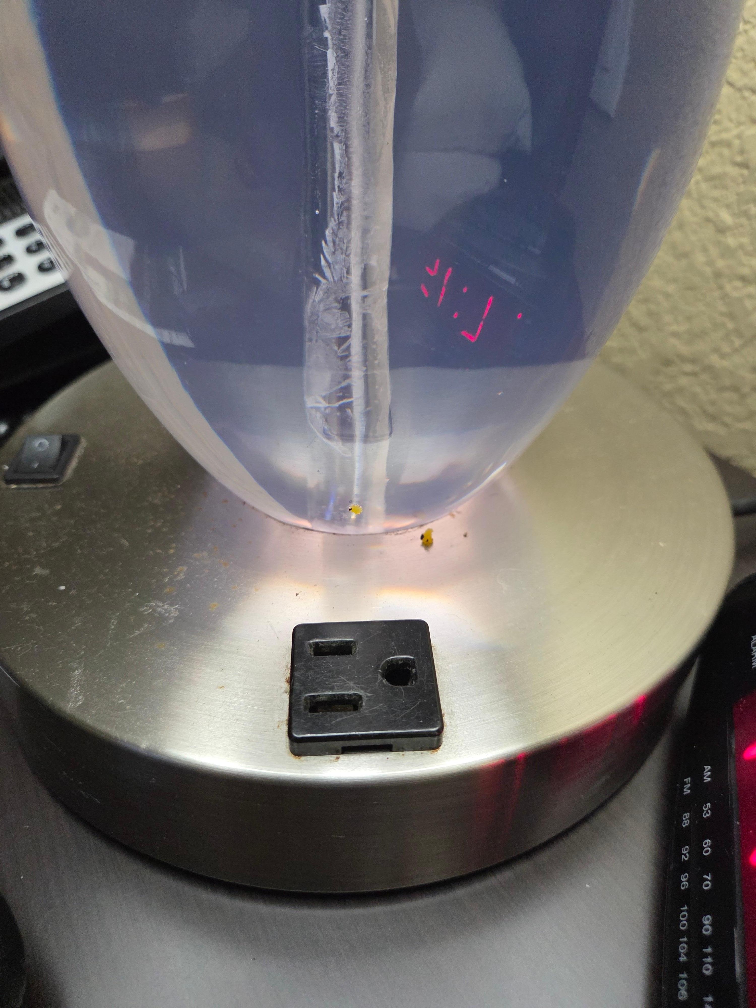Crumbs stuck to lamp