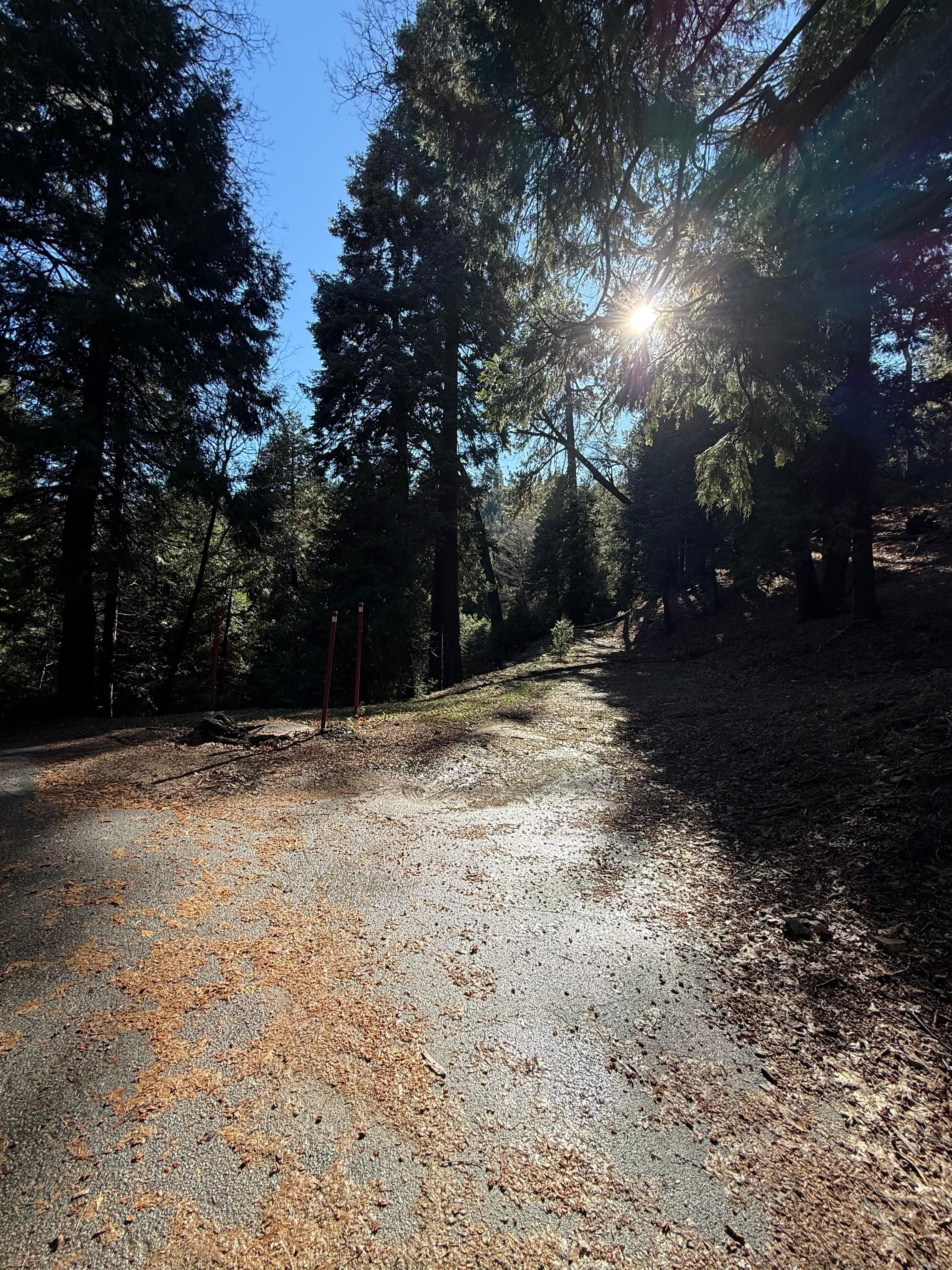 The property is at the end of the street and there are sooo many hiking trails to walk and enjoy! So beautiful!