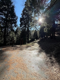 The property is at the end of the street and there are sooo many hiking trails to walk and enjoy! So beautiful!