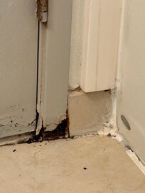 Mold in bathroom