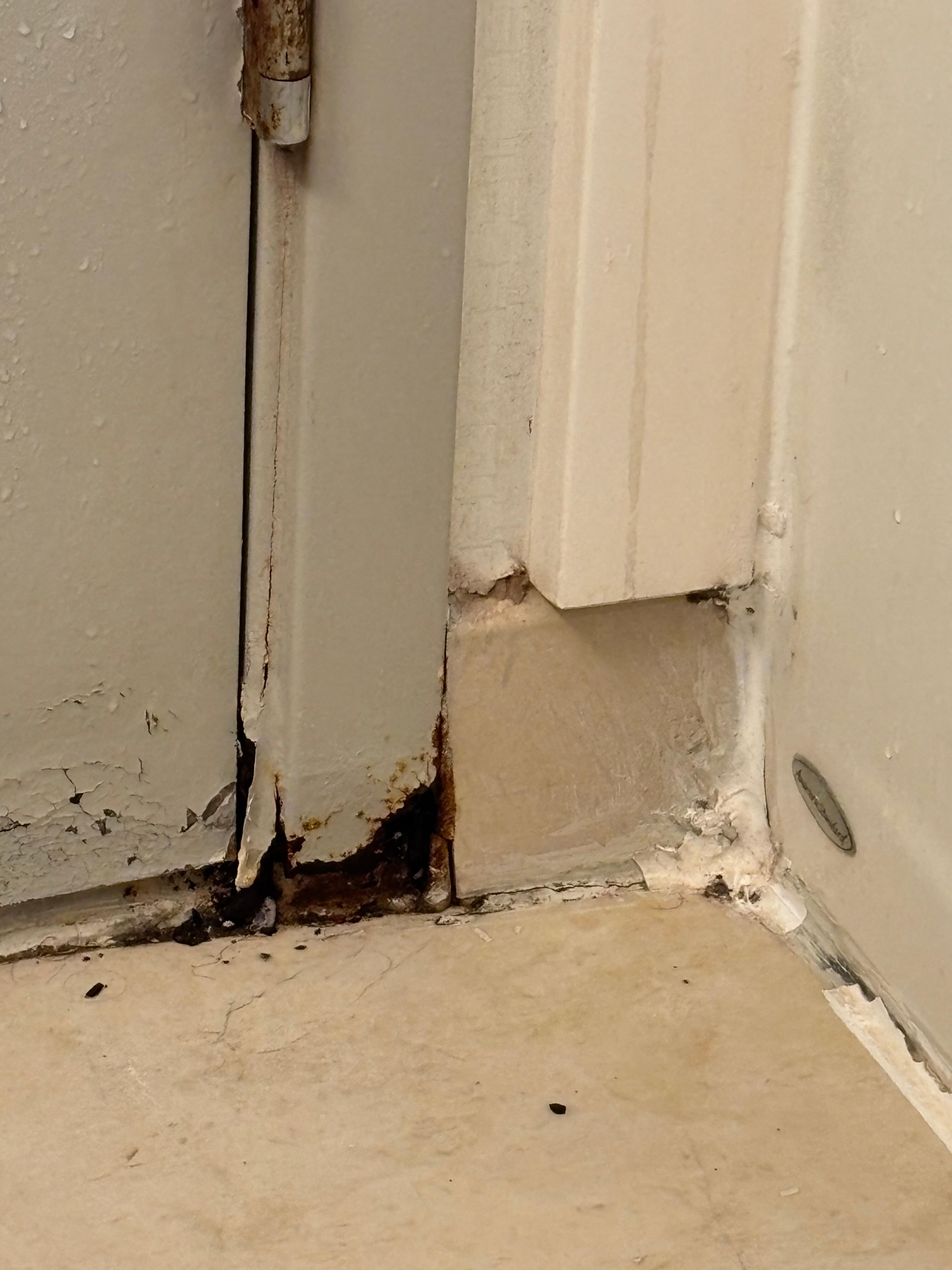 Mold in bathroom