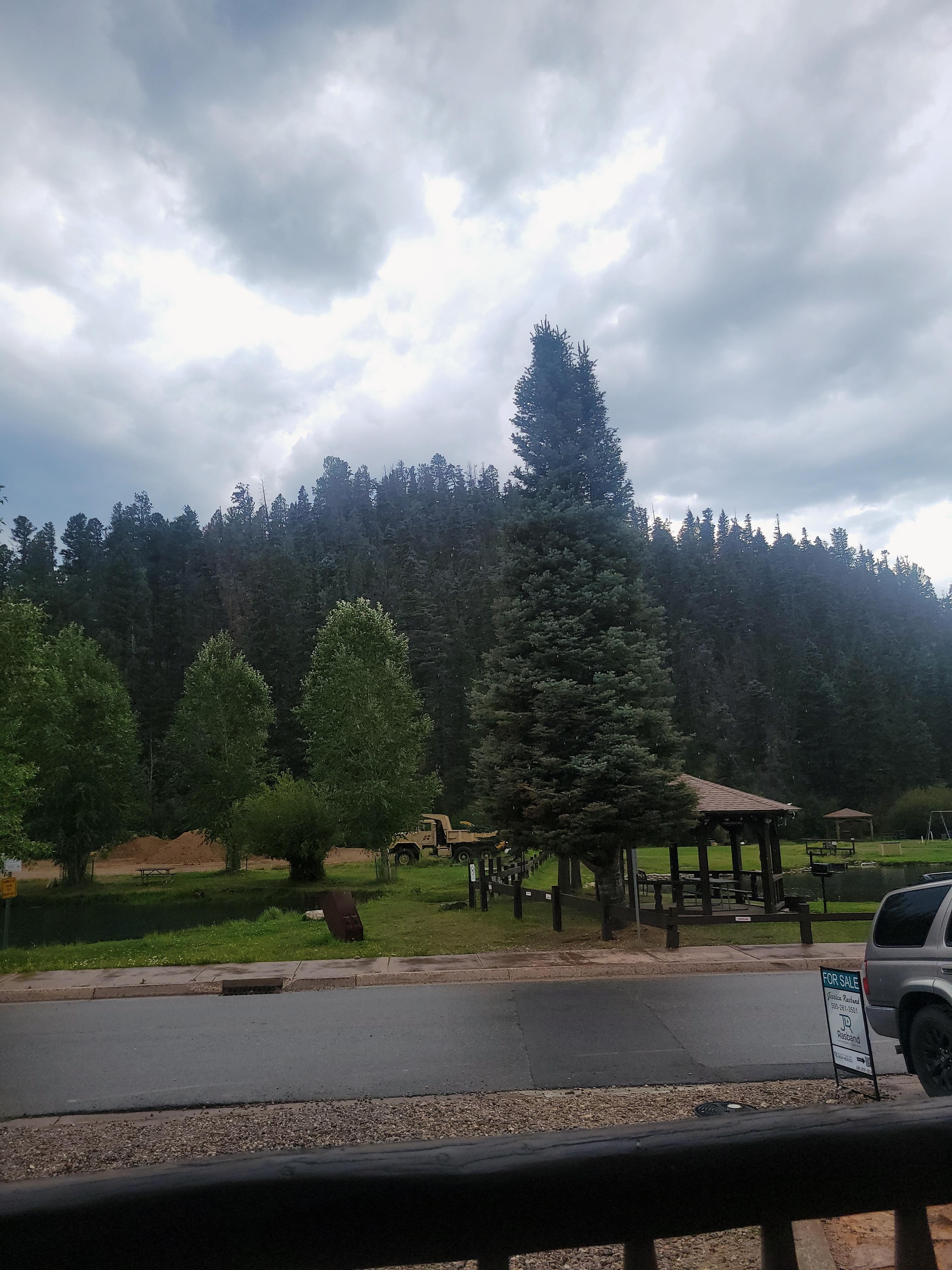 The view from our front window. 