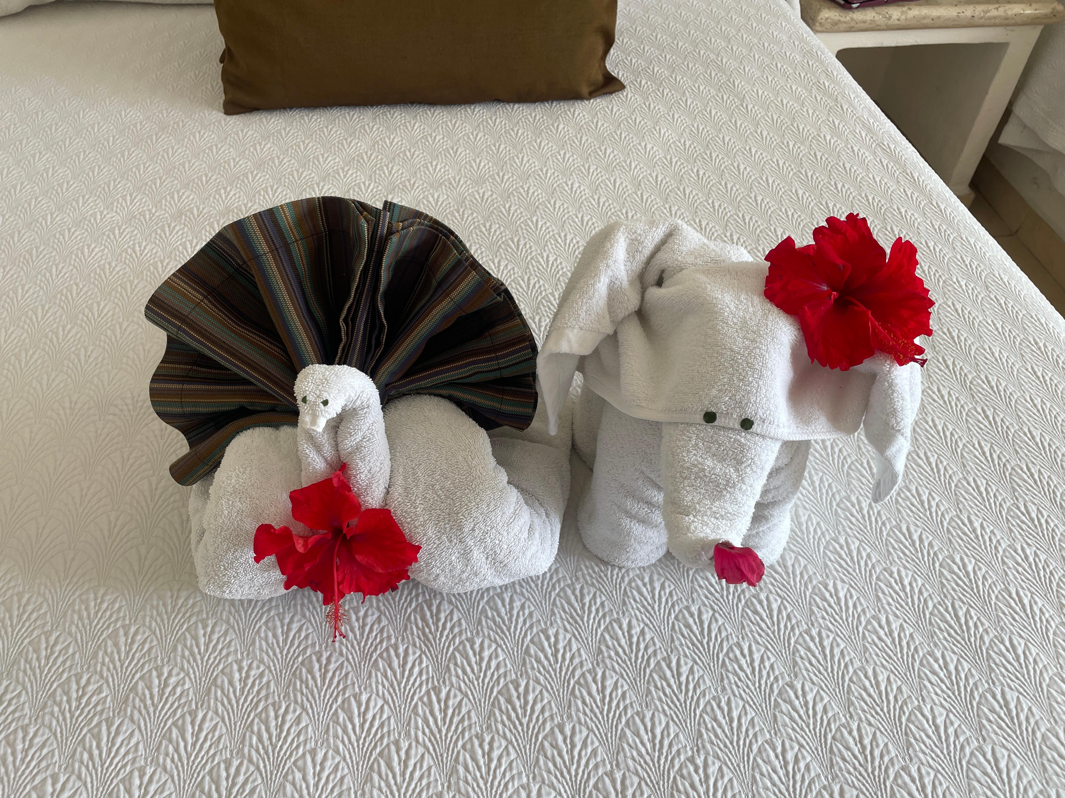 Our special surprise for the day. 