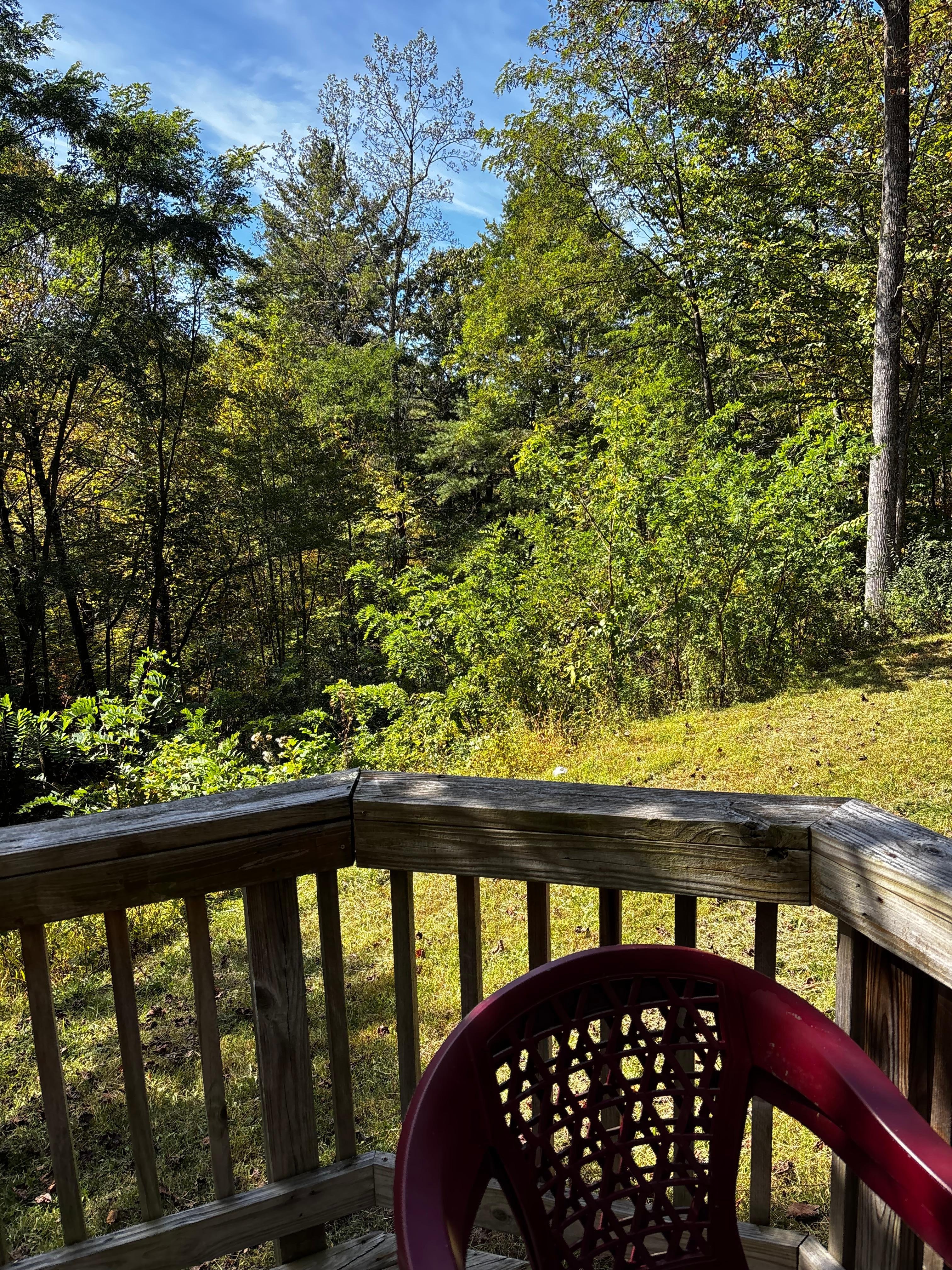View from porch