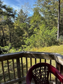 View from porch